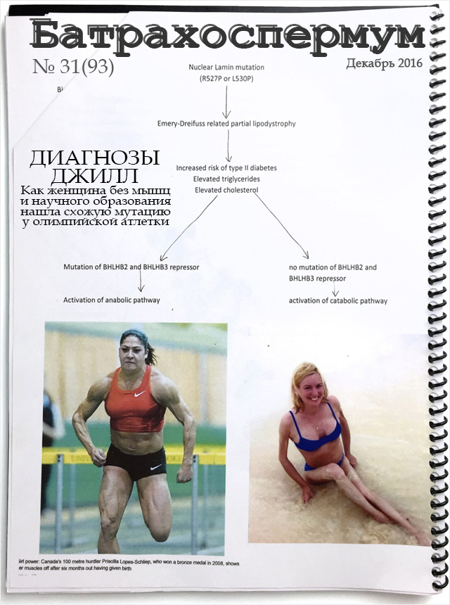 batrachospermum-jill