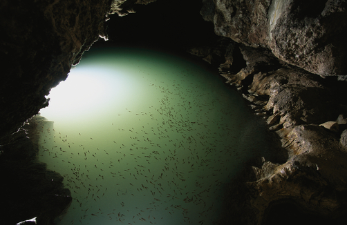 Cueva de Villa Luz