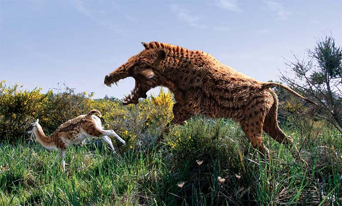 Archaeotherium_Poebrotherium