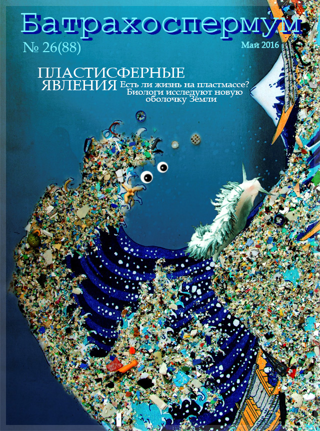 пластисфера