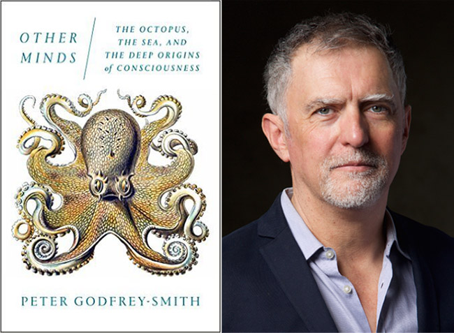 Octopus Godfrey-Smith