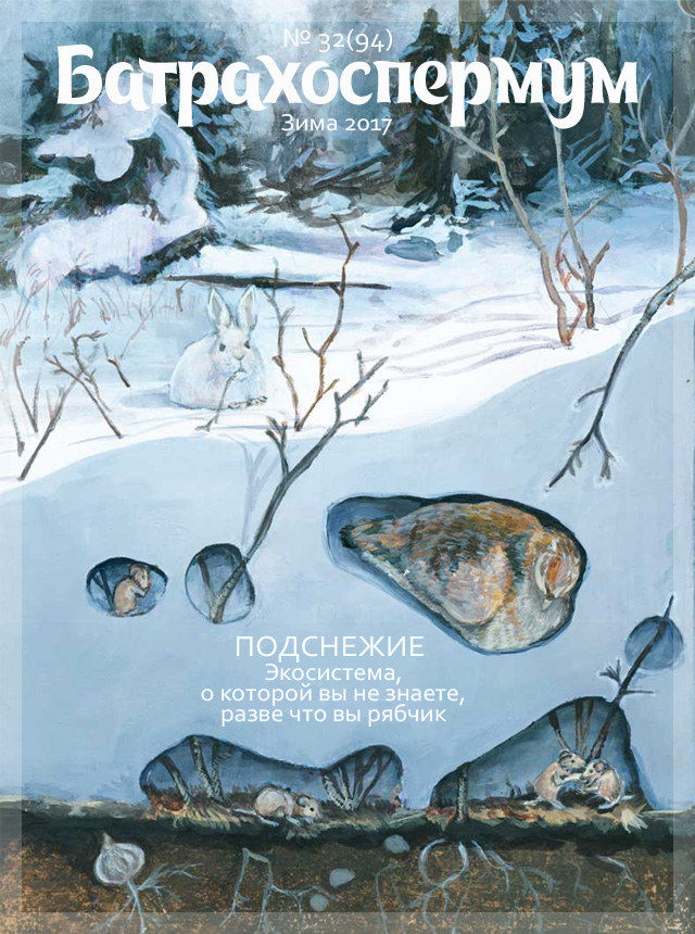 batrachospermum-subnivium