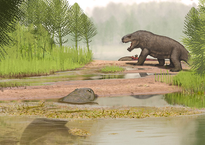 Megawhaitsia patrichae