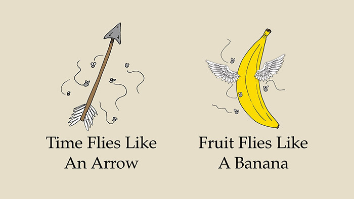 time-flies-like-an-arrow-fruit-flies-like-a-banana