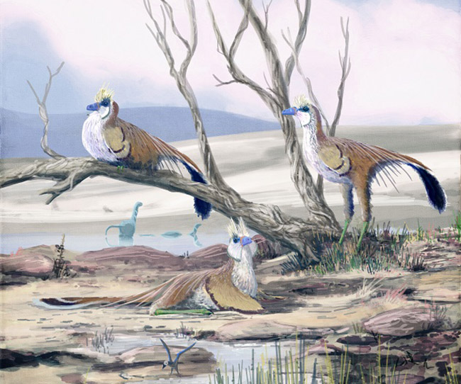Sinornithoides by Witton