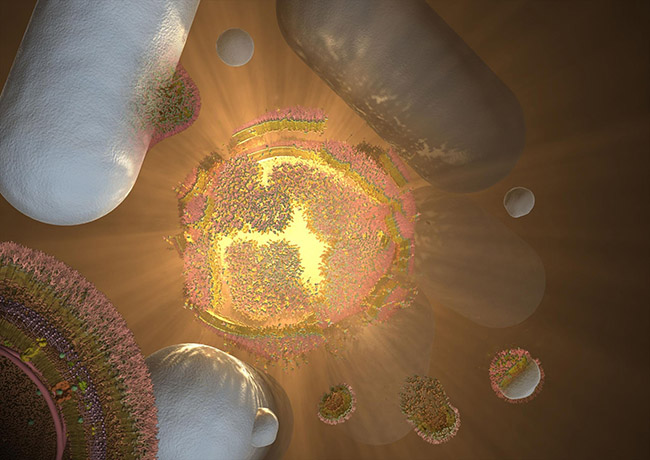bacteria burst