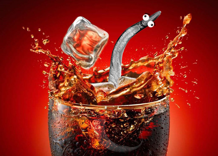 cola worm